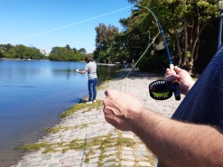Clases grupales o individuales