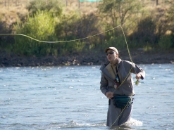 Cursos para avanzados