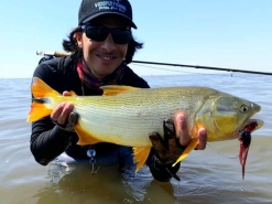 Curso para salir a la cancha rápido!