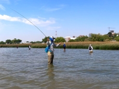 Alternative view of Curso para salir a la cancha rápido!