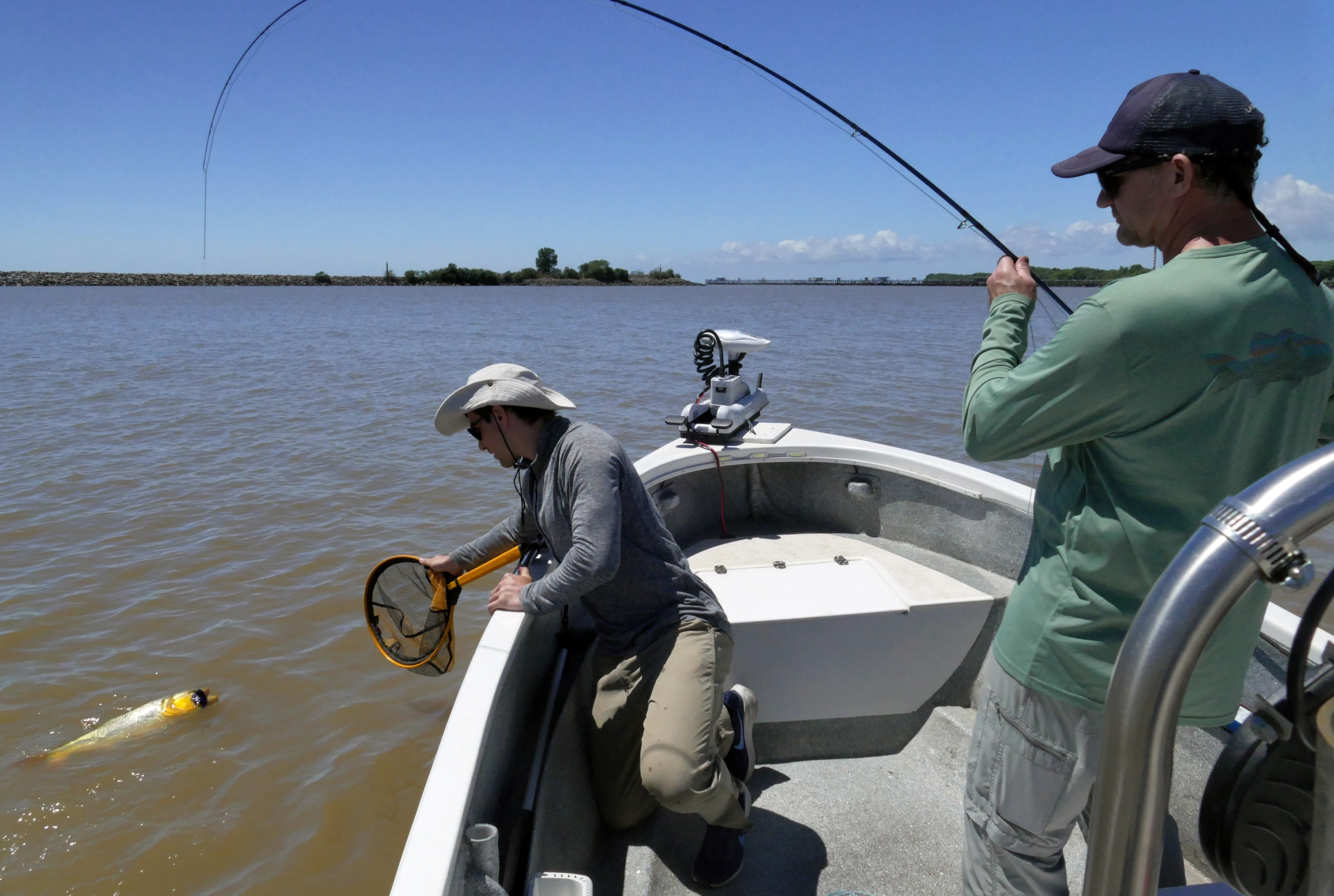 Guiadas embarcado en Río de la Plata - Imagen 11