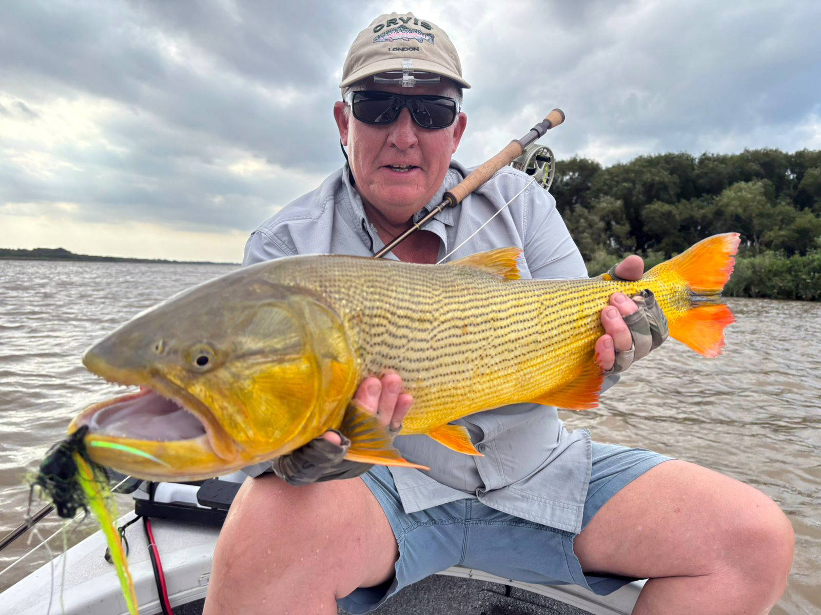 Guiadas embarcado en Río de la Plata - Imagen 3