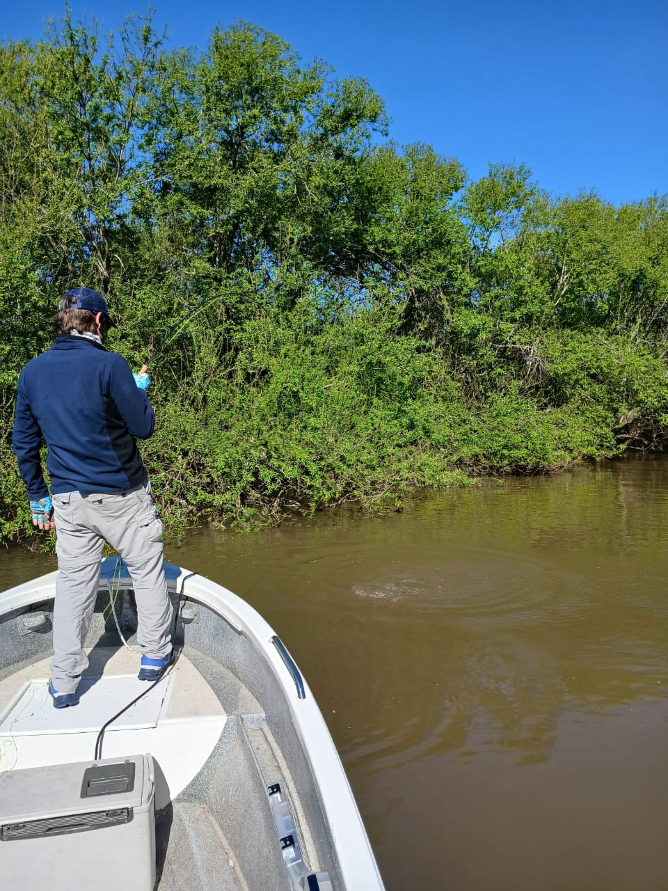 Guiadas embarcado en Río de la Plata - Imagen 5