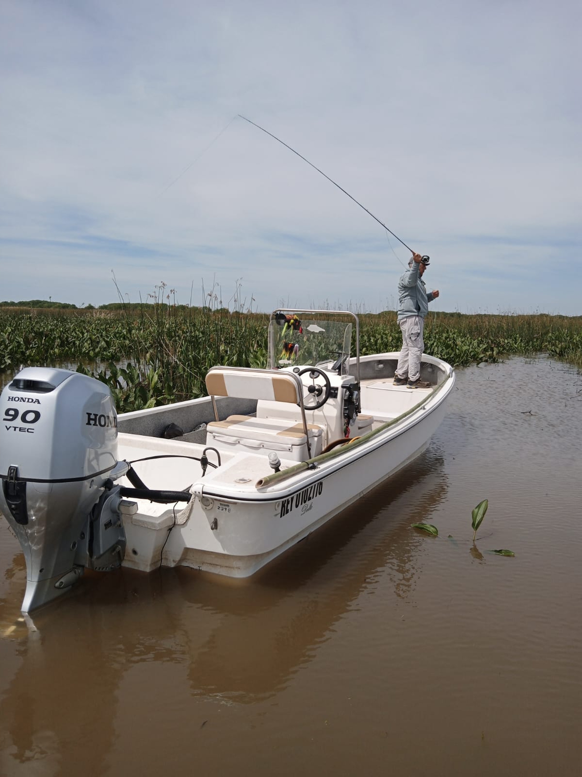 Guiadas embarcado en Río de la Plata - Imagen 2